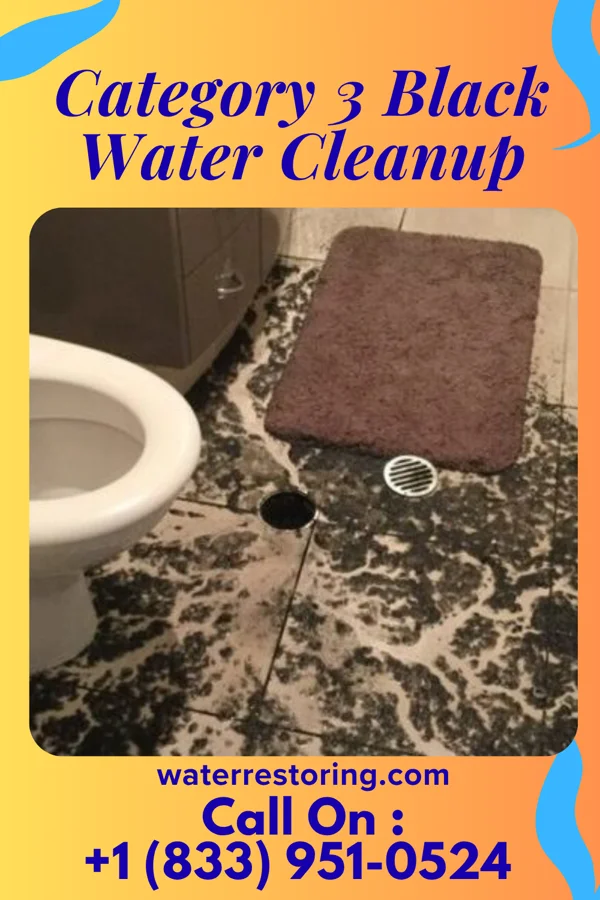 Category 3 Black Water Cleanup in Braman, OK